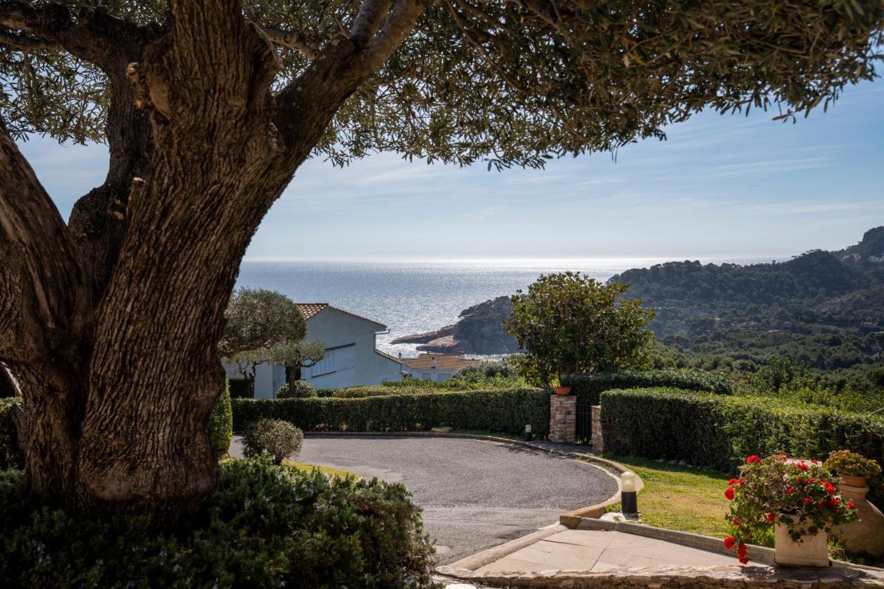 Alta House Apartments Sa Blava Begur Bagian luar foto